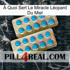 À Quoi Sert Le Miracle Léopard Du Miel new08